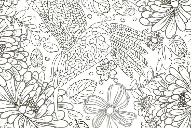 Produktbild: 50 cozy Karten zum Ausmalen &ndash; Natur