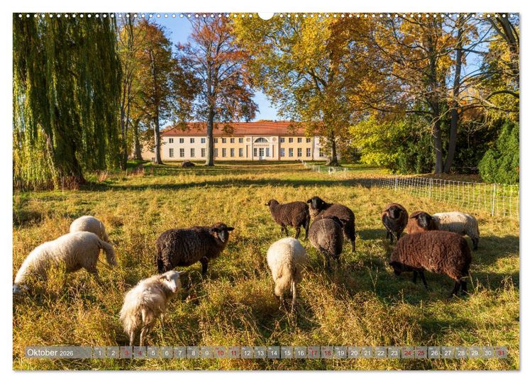 Produktbild: Schl&ouml;sser und G&auml;rten in Brandenburg (hochwertiger Premium Wandkalender 2026 DIN A2 quer), Kunstdruck in Hochglanz