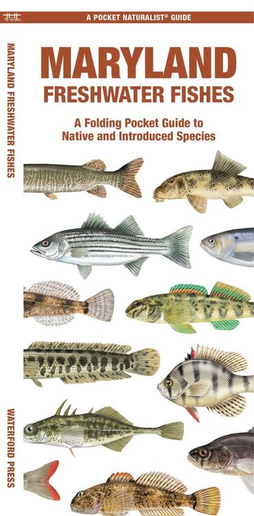 Produktbild: Maryland Freshwater Fishes