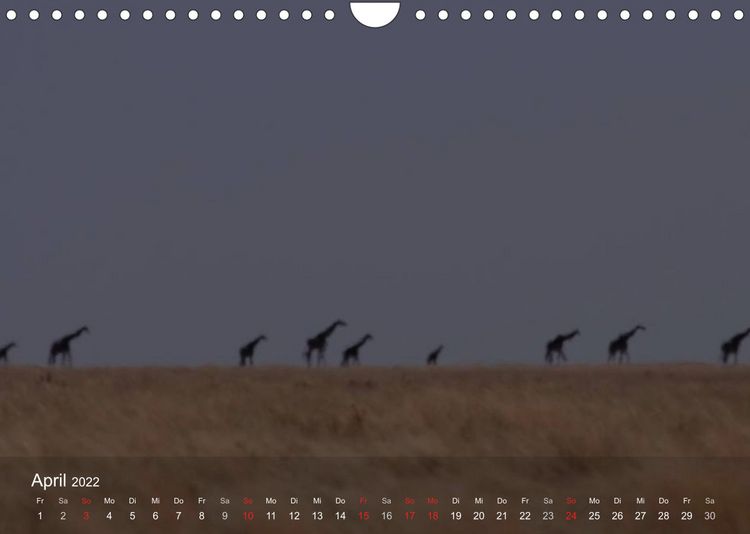 Produktbild: S&uuml;dliches Afrika (Wandkalender 2022 DIN A4 quer)