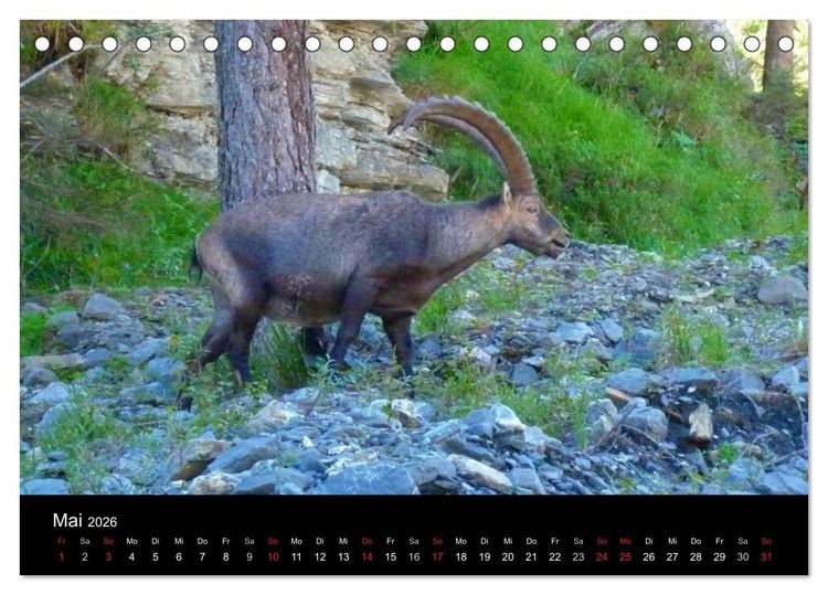 Produktbild: Die Welt der Berge (Tischkalender 2026 DIN A5 quer), CALVENDO Monatskalender