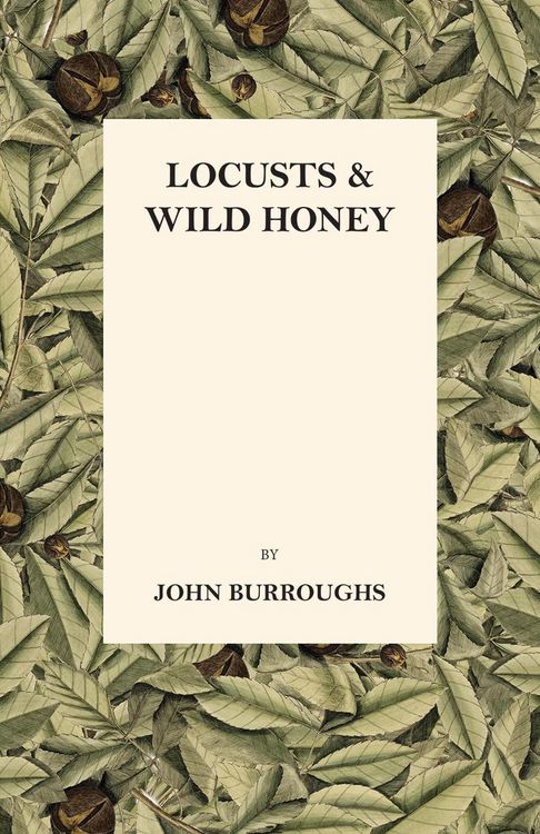 Produktbild: Locusts And Wild Honey