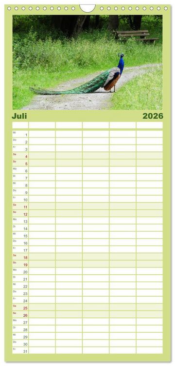 Produktbild: Familienplaner 2026 - Bad Sassendorf mit 5 Spalten (Wandkalender, 21 x 45 cm) CALVENDO