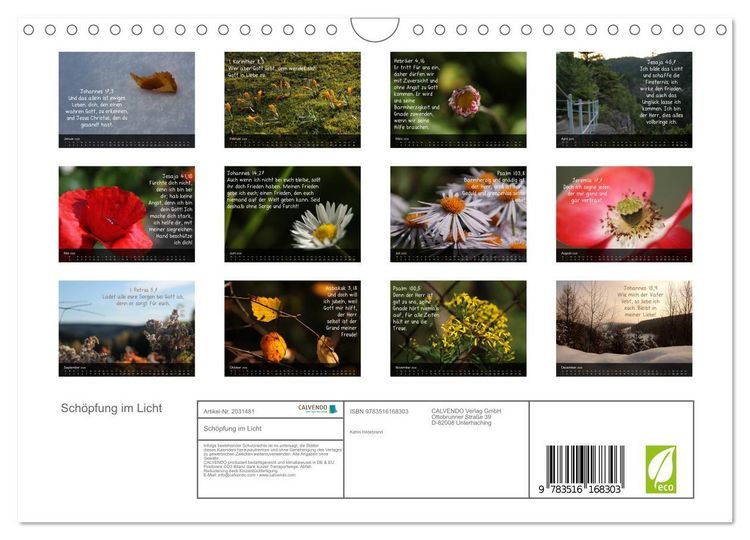 Produktbild: Sch&ouml;pfung im Licht (Wandkalender 2026 DIN A4 quer), CALVENDO Monatskalender
