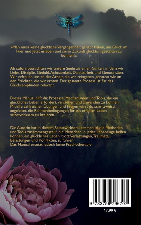 Produktbild: Selbstwirksamkeitsmanual (SWM)