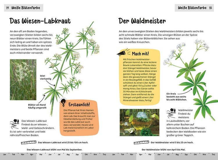 Produktbild: Was bl&uuml;ht denn da? Kindernaturf&uuml;hrer