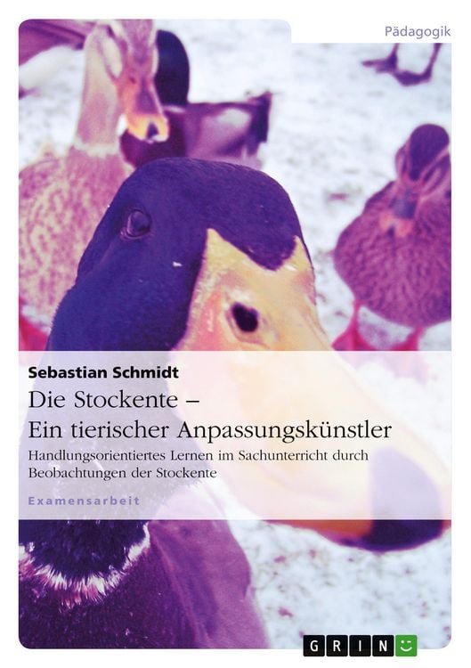 Produktbild: Die Stockente - ein tierischer Anpassungsk&uuml;nstler