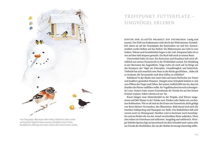 Produktbild: Gartenv&ouml;gel