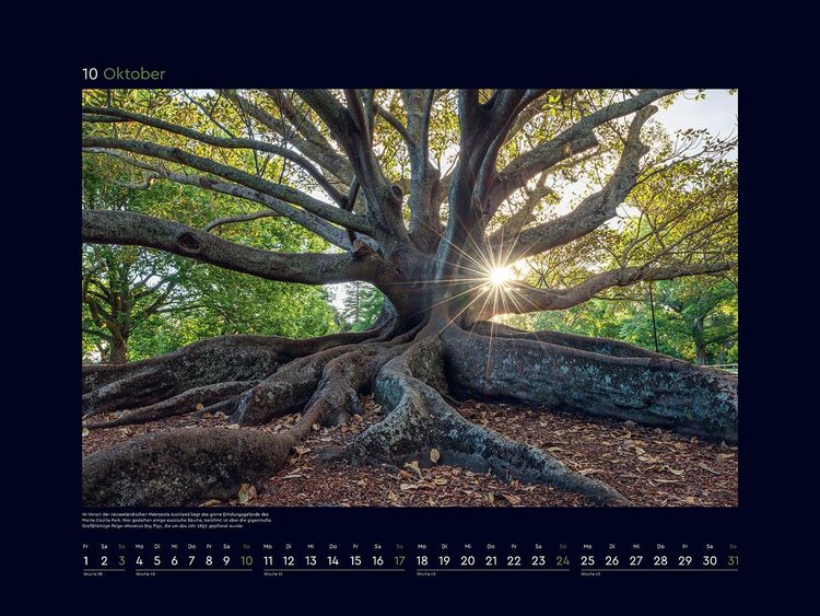 Produktbild: Alte B&auml;ume, Sinnbilder des Lebens - KUNTH Wandkalender 2027