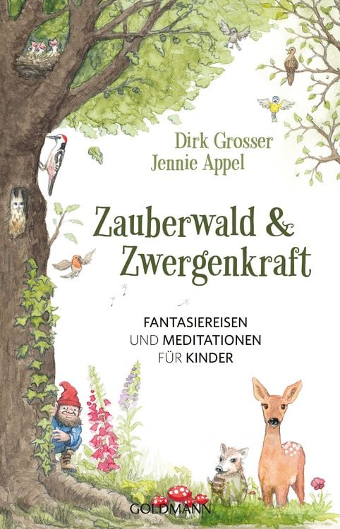 Produktbild: Zauberwald & Zwergenkraft