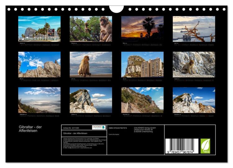 Produktbild: Gibraltar - der Affenfelsen (Wandkalender 2026 DIN A4 quer), CALVENDO Monatskalender