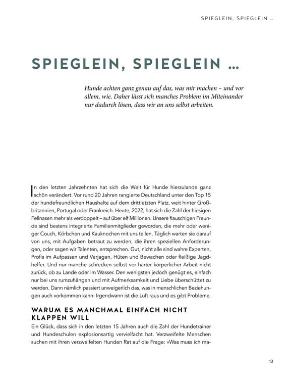 Produktbild: Das Geheimnis der Spiegelung