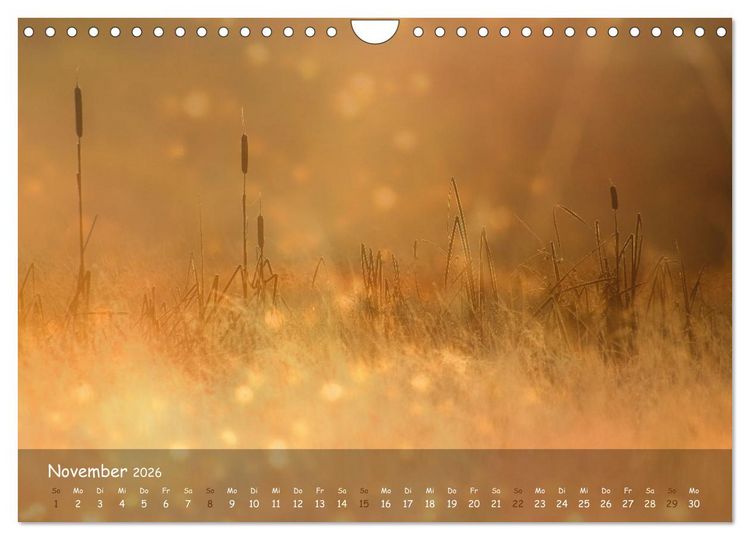 Produktbild: Zauberhaftes Norderstedt (Wandkalender 2026 DIN A4 quer), CALVENDO Monatskalender