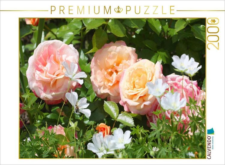 Produktbild: CALVENDO Puzzle Pastellfarbene Rosen | 2000 Teile Lege-Gr&ouml;&szlig;e 90x67cm Foto-Puzzle f&uuml;r gl&uuml;ckliche Stunden