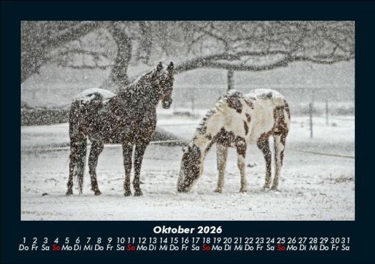 Produktbild: Pferdetraum 2026 Fotokalender DIN A5