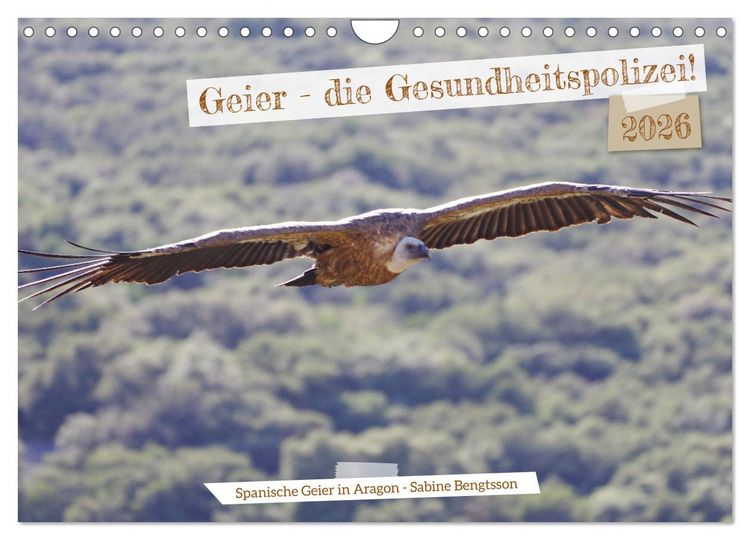 Produktbild: Geier - die Gesundheitspolizei! (Wandkalender 2026 DIN A4 quer), CALVENDO Monatskalender