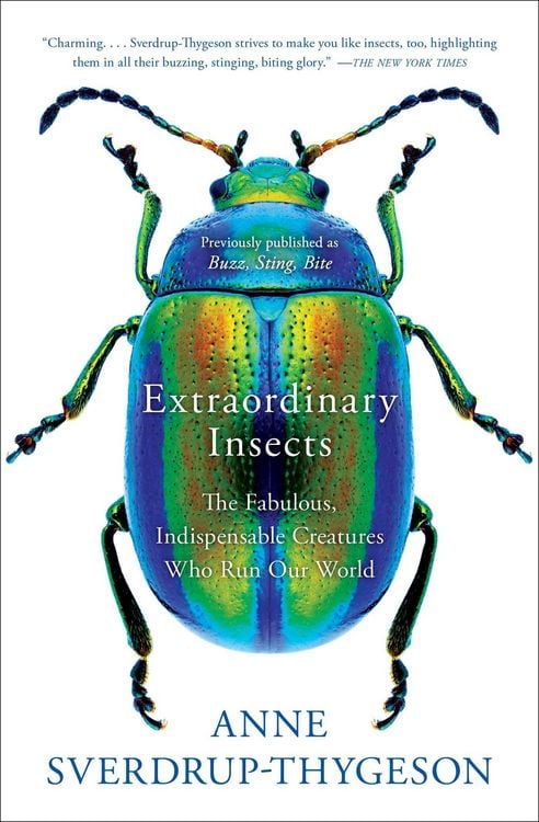Produktbild: Extraordinary Insects