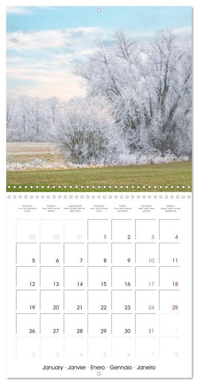 Produktbild: Spreewald - A Natural Paradise (Wall Calendar 2026 12 &times; 12 Inch) CALVENDO 12 Month Wall Calendar