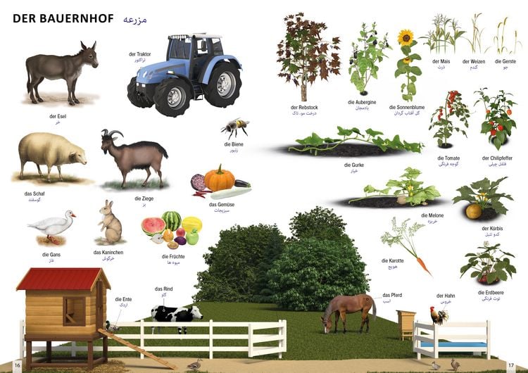 Produktbild: Bildw&ouml;rterbuch f&uuml;r Kinder und Eltern Persisch-Deutsch