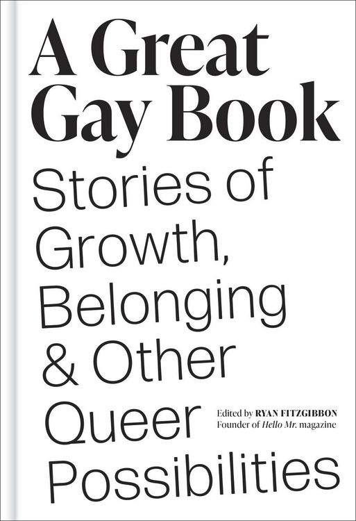 Produktbild: A Great Gay Book