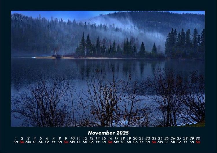 Produktbild: B&auml;ume 2025 Fotokalender DIN A4