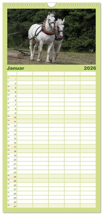 Produktbild: Familienplaner 2026 - Starke Pferde bei der Arbeit mit 5 Spalten (Wandkalender, 21 x 45 cm) CALVENDO