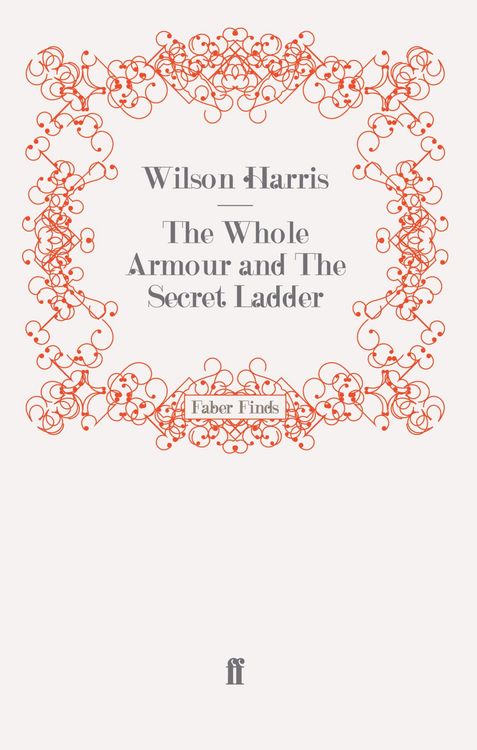 Produktbild: The Whole Armour and The Secret Ladder