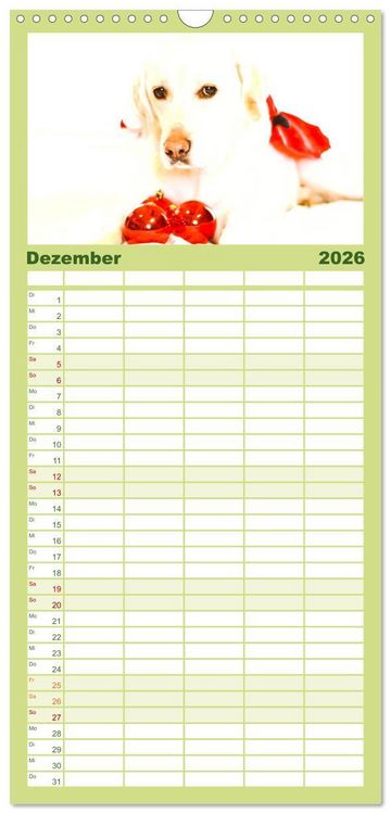 Produktbild: Familienplaner 2026 - Labrador Retriever 2026 mit 5 Spalten (Wandkalender, 21 x 45 cm) CALVENDO