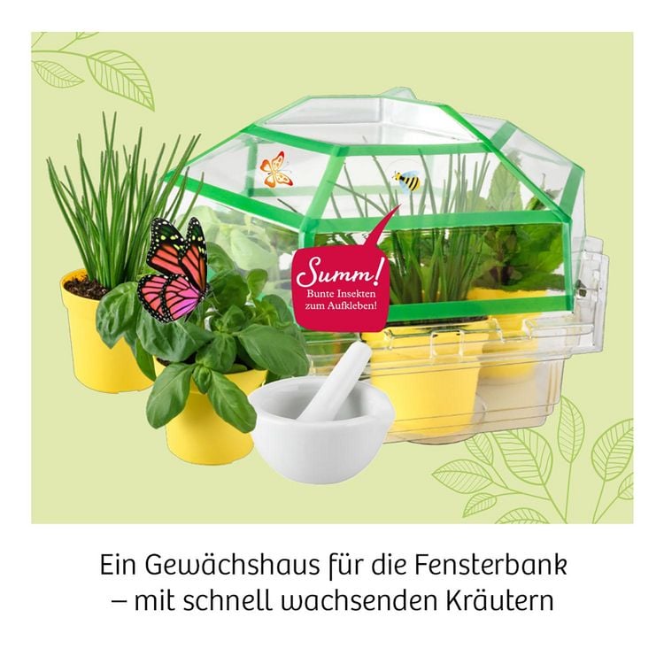Produktbild: Kr&auml;utergarten