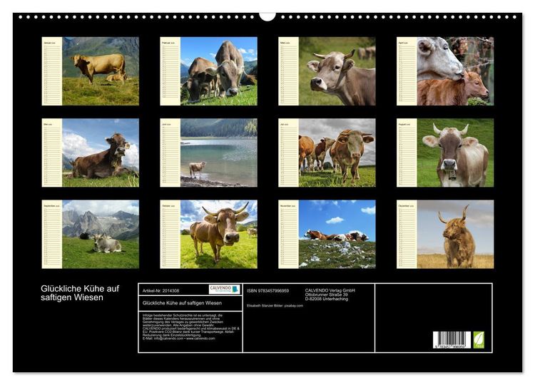 Produktbild: Gl&uuml;ckliche K&uuml;he auf saftigen Wiesen (Wandkalender 2026 DIN A2 quer), CALVENDO Monatskalender