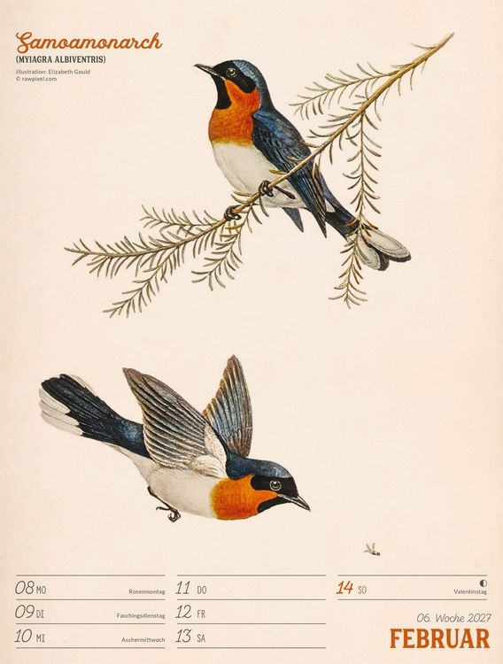 Produktbild: Wunderbare Vogelwelt Wochenplaner Kalender 2027
