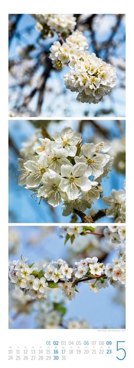 Produktbild: NaturZeit Triplet-Kalender 2027