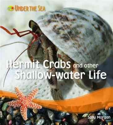 Produktbild: Hermit Crabs and Other Shallow Water Life