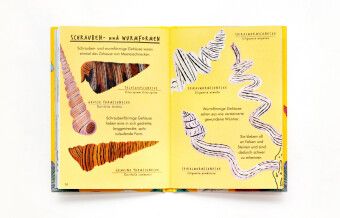 Produktbild: Hallo Fossilien & Muscheln