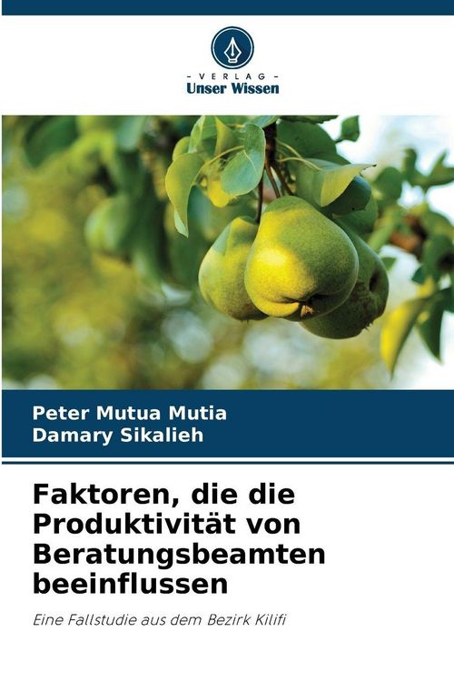 Produktbild: Faktoren, die die Produktivit&auml;t von Beratungsbeamten beeinflussen
