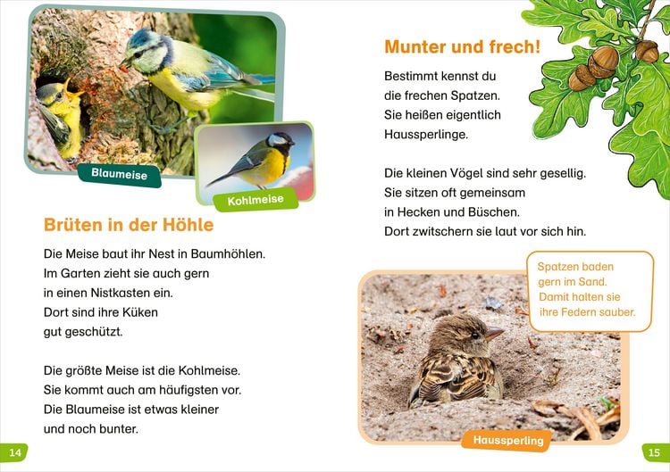 Produktbild: WAS IST WAS Erstes Lesen easy! Wie leben unsere V&ouml;gel?