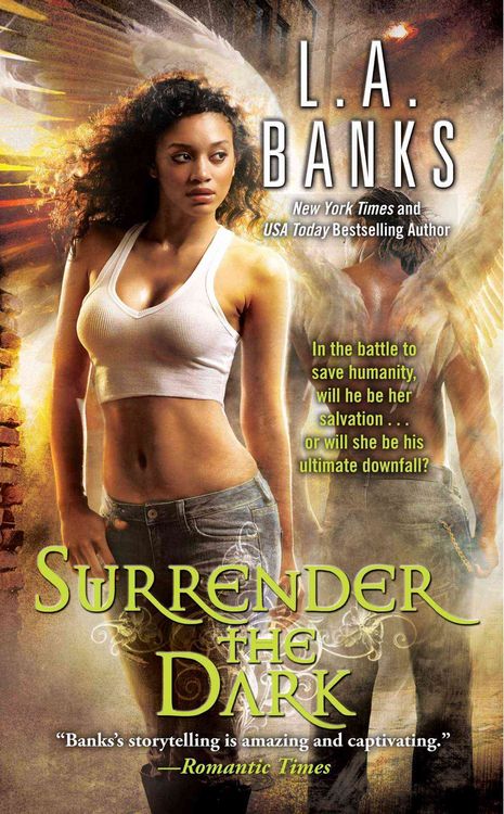 Produktbild: Surrender the Dark
