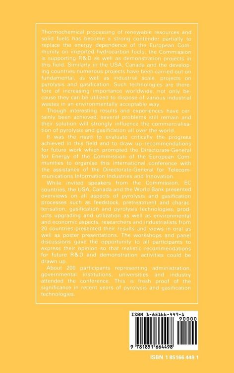 Produktbild: Pyrolysis and Gasification