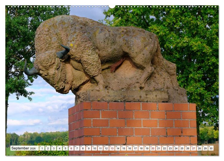 Produktbild: Hofgeismar - Dornr&ouml;schenstadt und Fachwerkh&auml;user (Wandkalender 2026 DIN A2 quer), CALVENDO Monatskalender