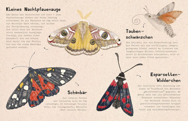 Produktbild: natur-verliebt