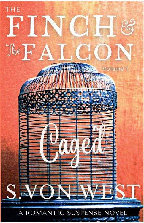 Produktbild: The Finch and the Falcon