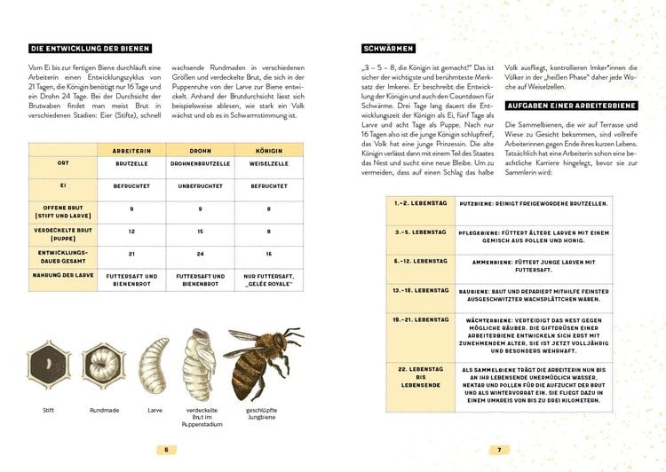 Produktbild: Mein Bienenjahr