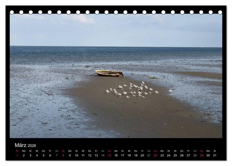 Produktbild: Texel, eine Perle Hollands (Tischkalender 2026 DIN A5 quer), CALVENDO Monatskalender