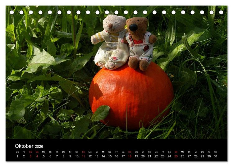 Produktbild: Der B&auml;rchenkalender 2026 (Tischkalender 2026 DIN A5 quer), CALVENDO Monatskalender