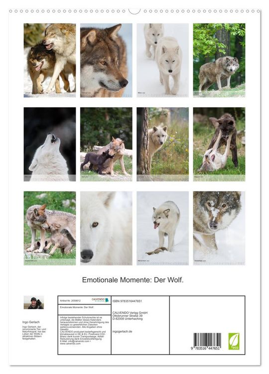 Produktbild: Emotionale Momente: Der Wolf. (hochwertiger Premium Wandkalender 2026 DIN A2 hoch), Kunstdruck in Hochglanz
