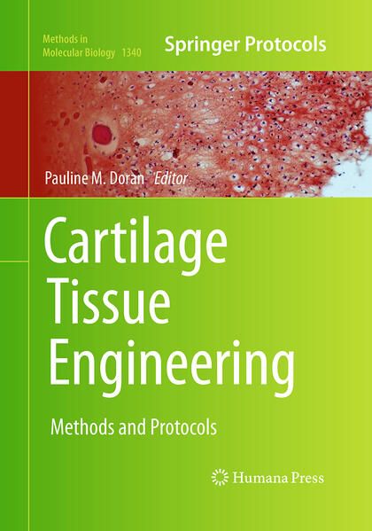 Produktbild: Cartilage Tissue Engineering