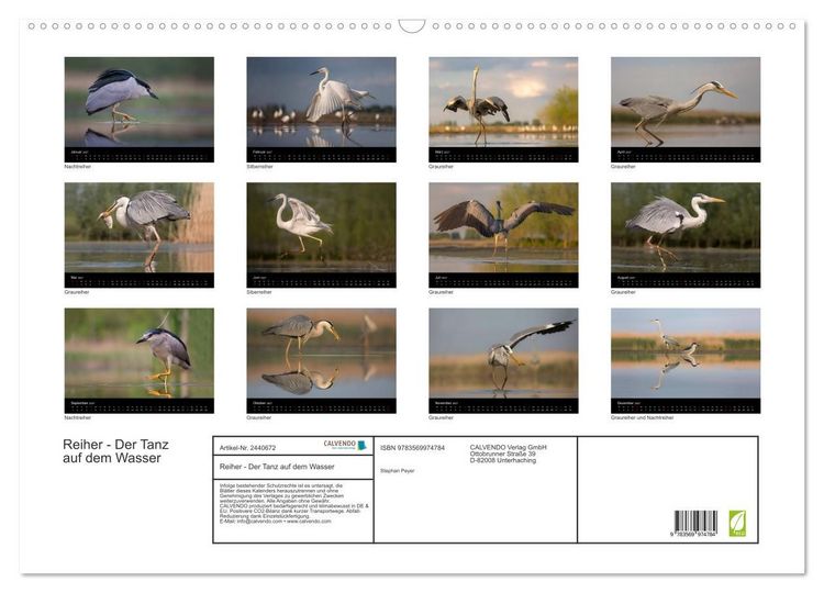 Produktbild: Reiher - Der Tanz auf dem Wasser (Wandkalender 2027 DIN A2 quer), CALVENDO Monatskalender