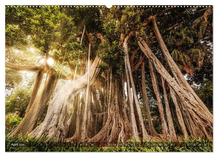 Produktbild: Die Kanarische Inseln Teneriffa, Gran Canaria und Fuerteventura (Wandkalender 2026 DIN A2 quer), CALVENDO Monatskalender