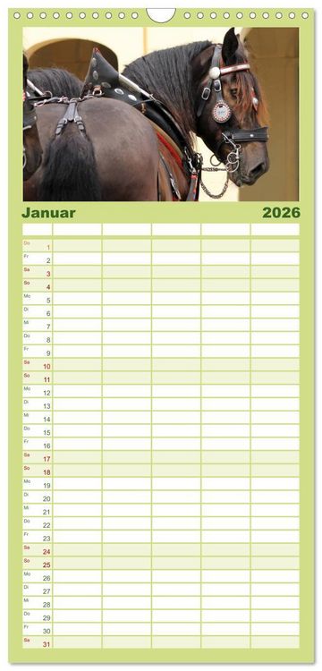 Produktbild: Familienplaner 2026 - Schwere Pferde mit 5 Spalten (Wandkalender, 21 x 45 cm) CALVENDO