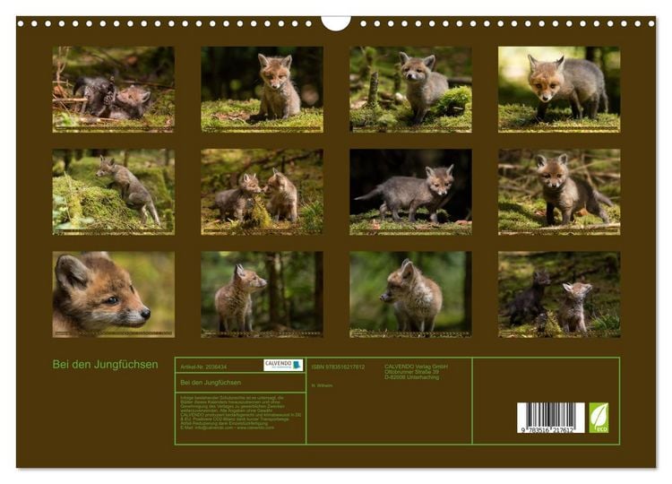 Produktbild: Bei den Jungf&uuml;chsen (Wandkalender 2026 DIN A3 quer), CALVENDO Monatskalender